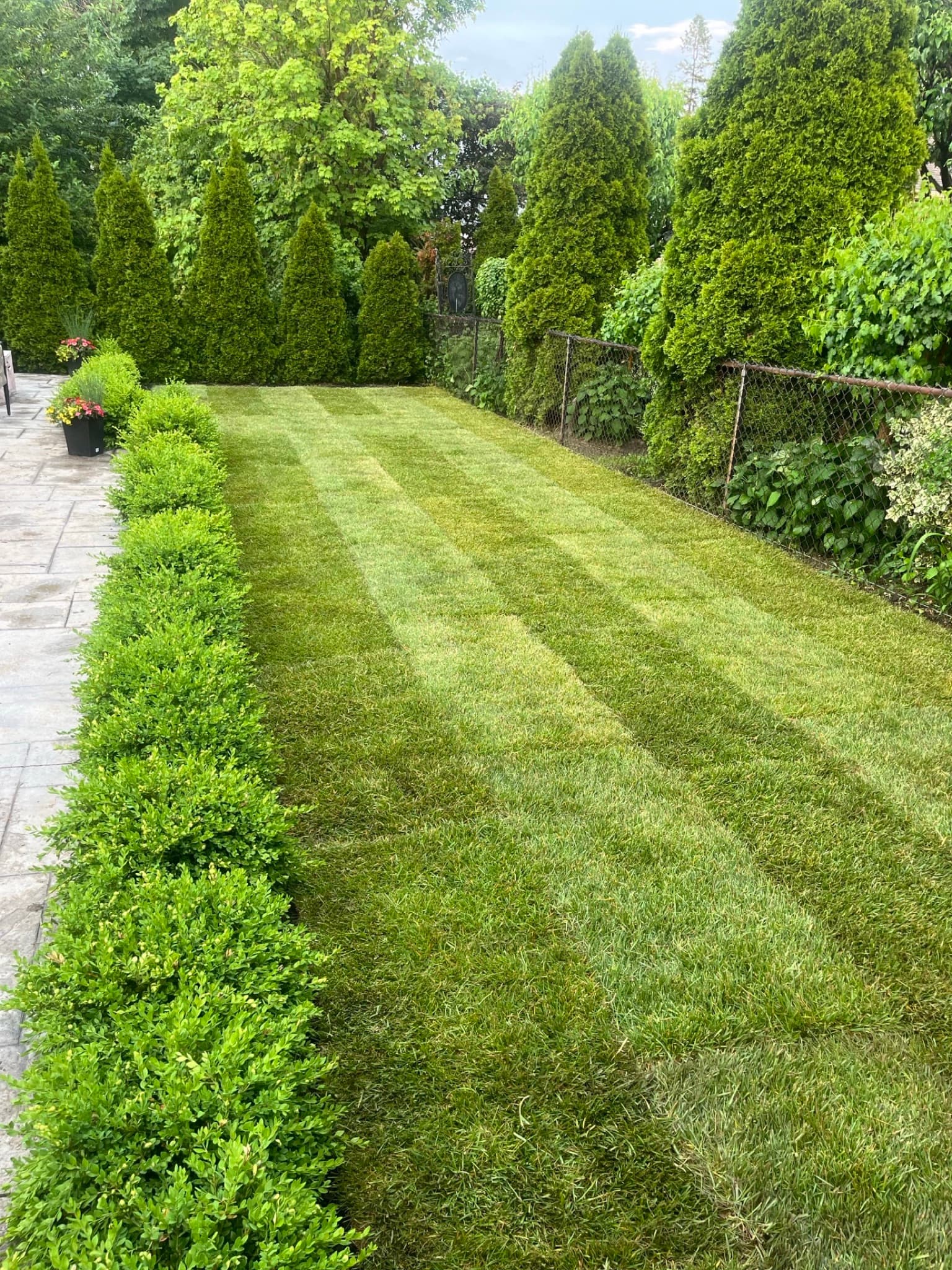 Grass Cutting Services in Scarborough in Scarborough & North York