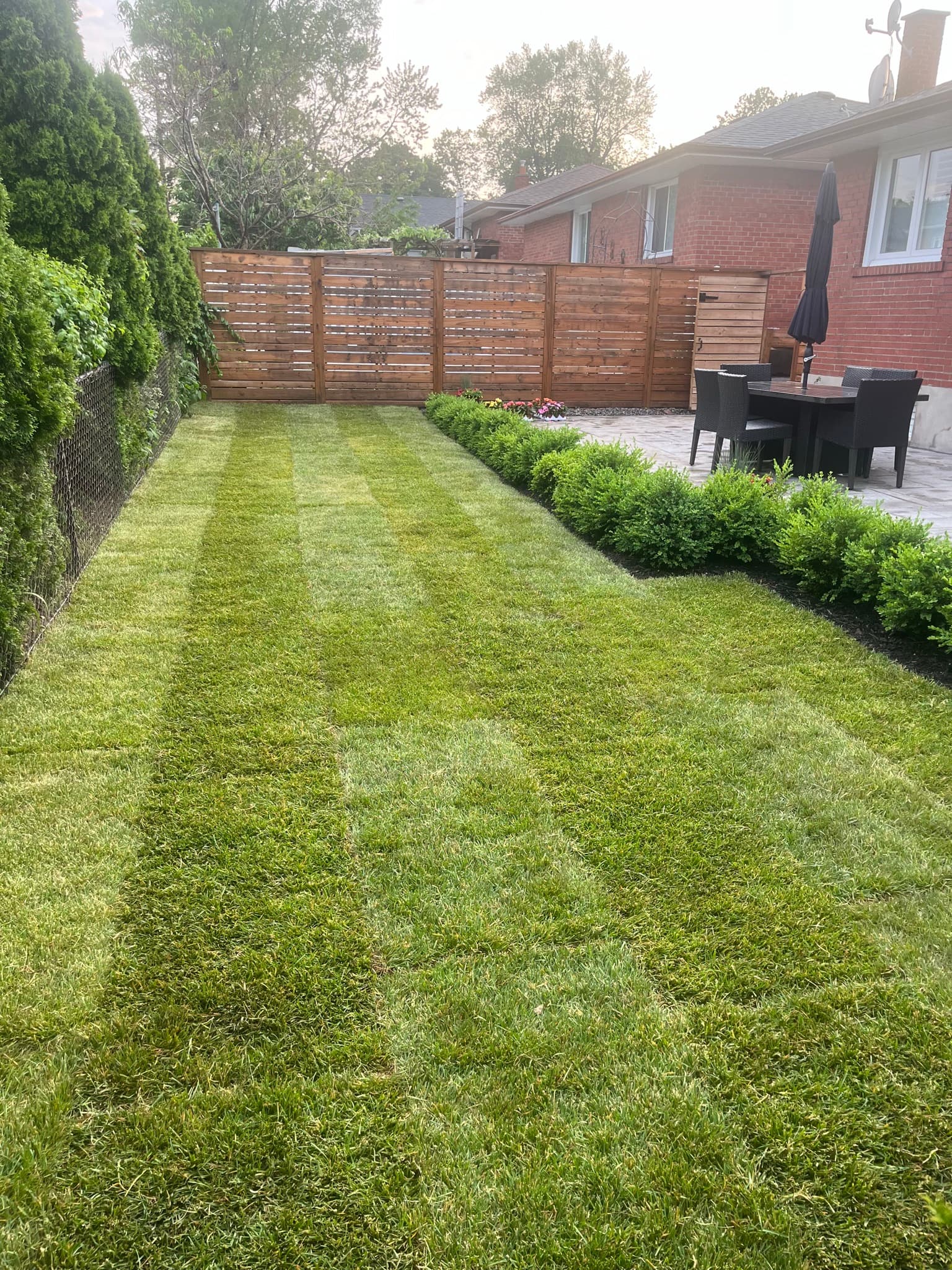 Cleanup & General project 10 in Scarborough — Dawn Till Dusk Landscaping