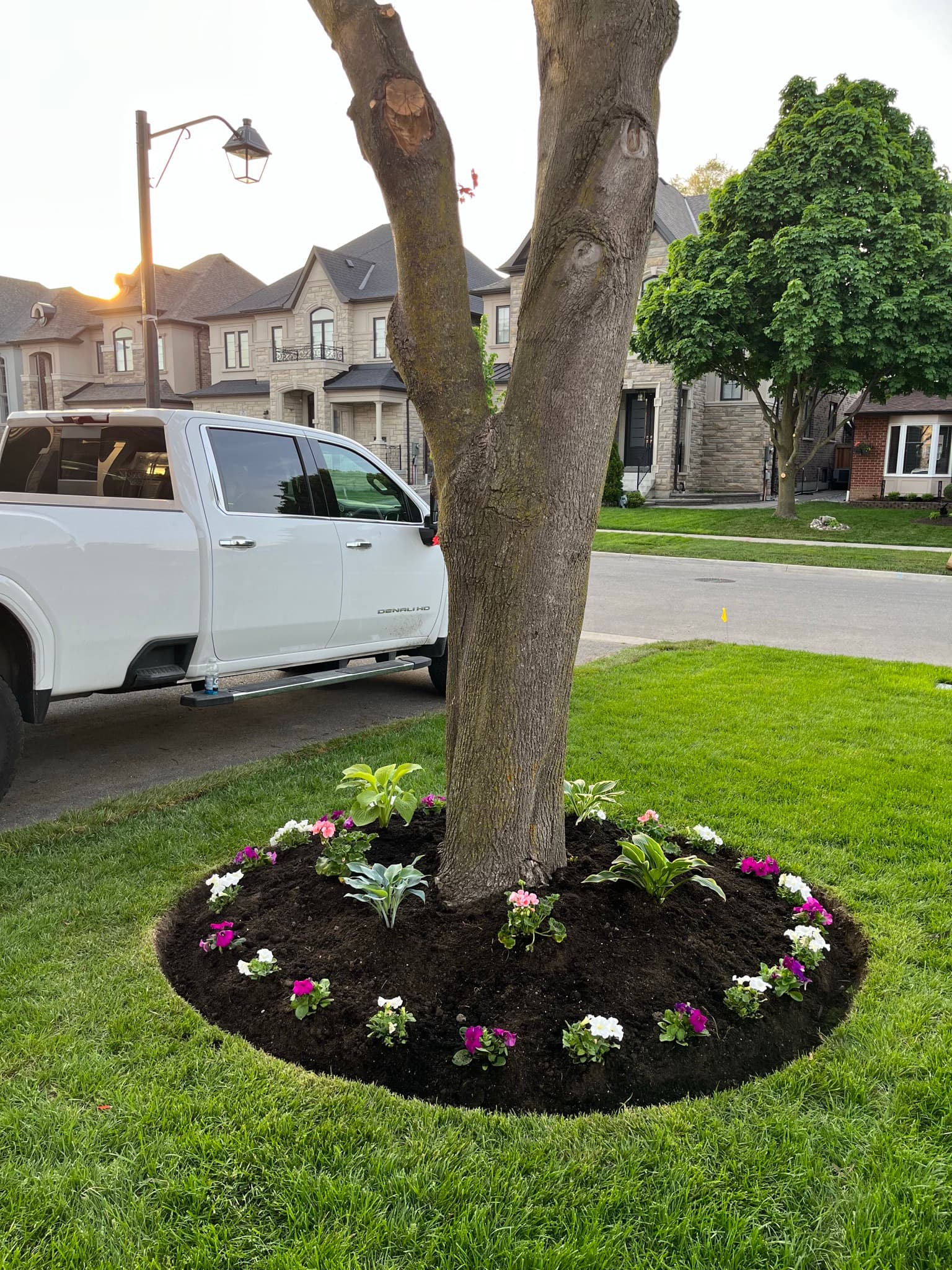 Cleanup & General project 11 in Scarborough — Dawn Till Dusk Landscaping