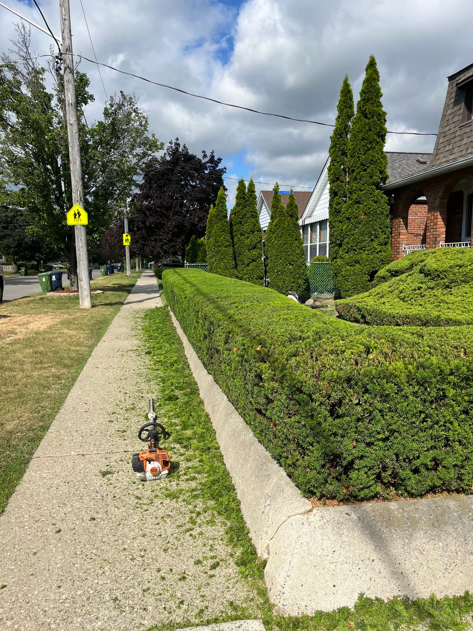 Cleanup & General project 20 in Scarborough — Dawn Till Dusk Landscaping