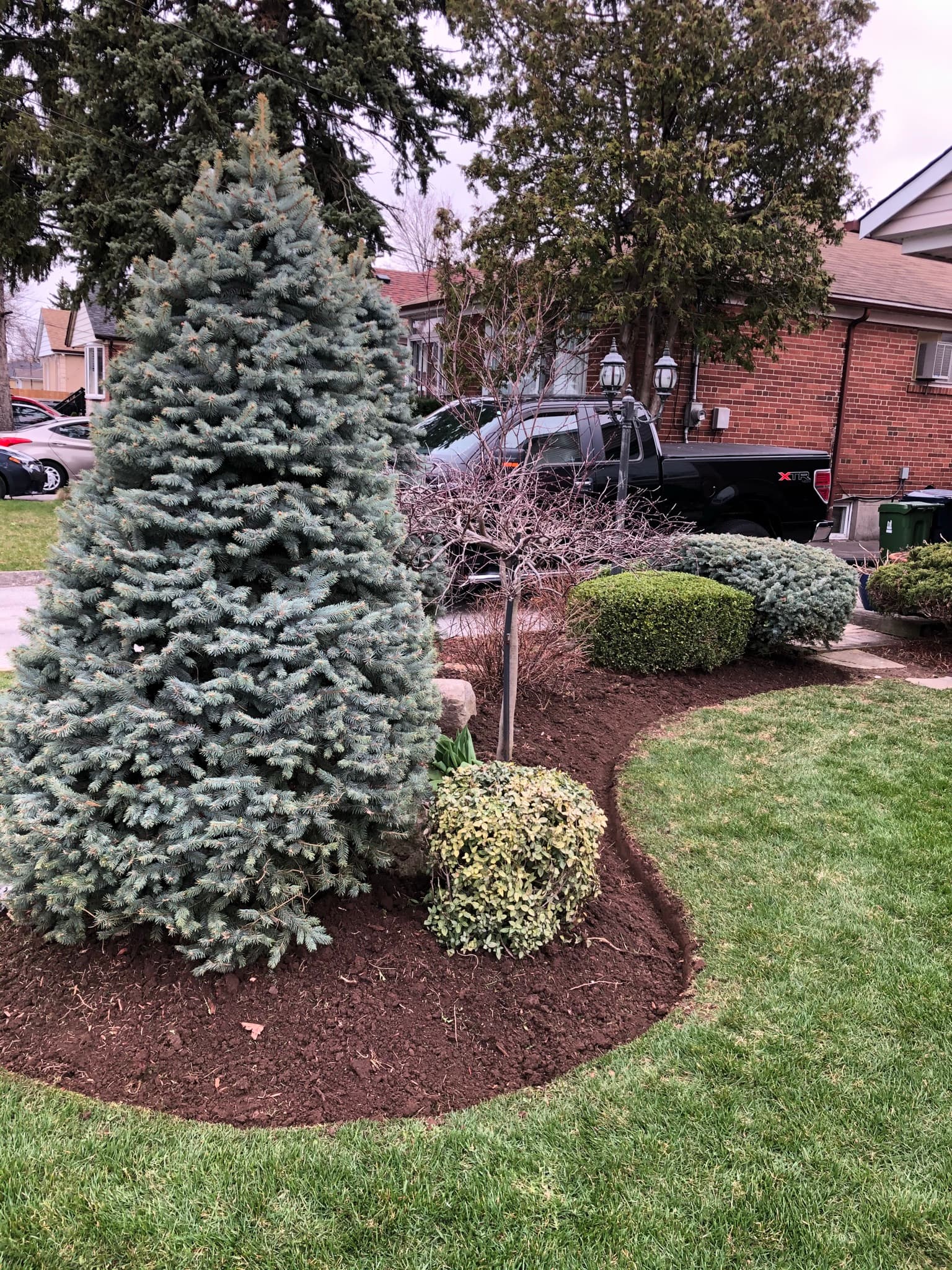 Cleanup & General project 30 in Scarborough — Dawn Till Dusk Landscaping