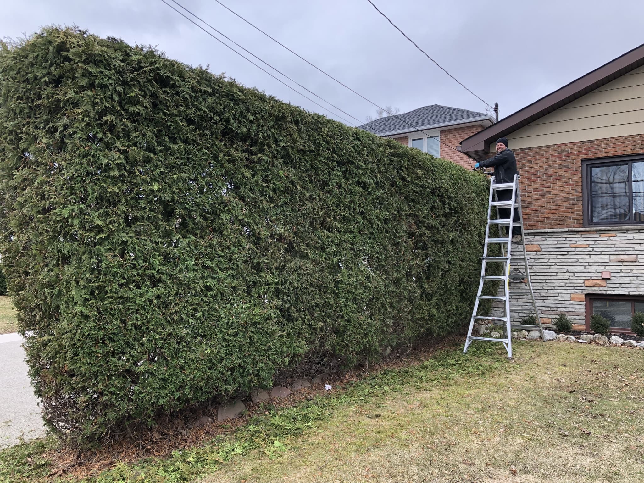 Cleanup & General project 35 in Scarborough — Dawn Till Dusk Landscaping