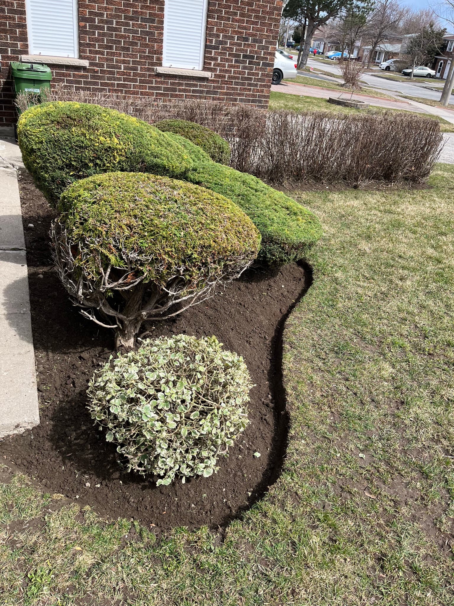 Cleanup & General project 36 in Scarborough — Dawn Till Dusk Landscaping