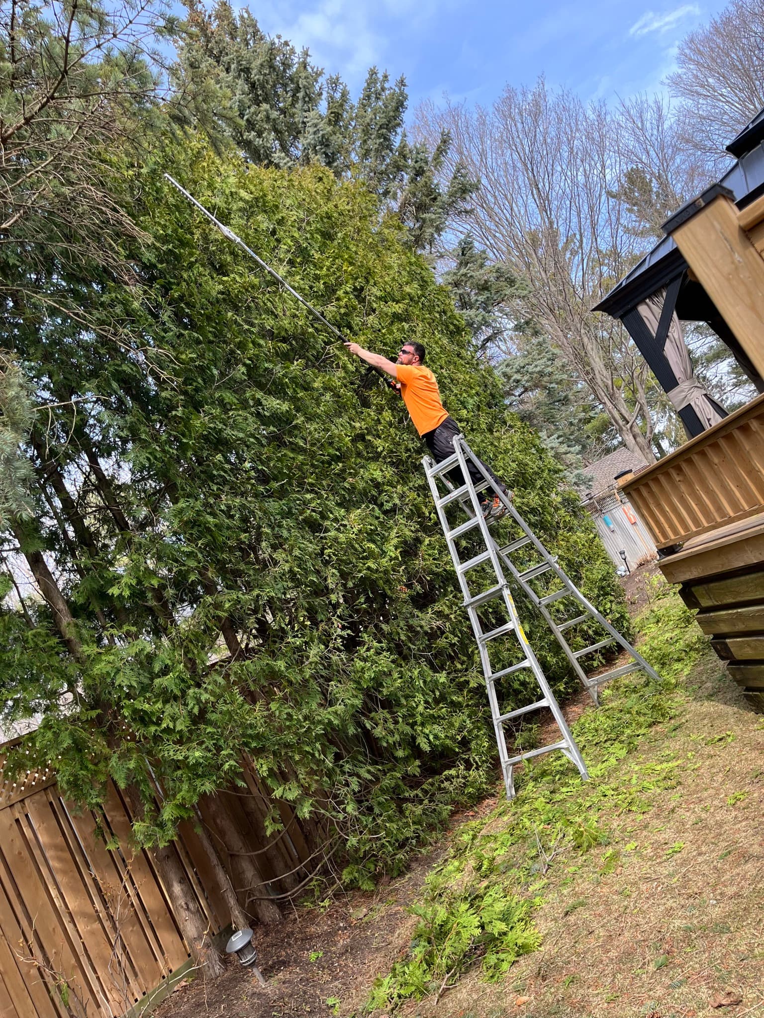 Cleanup & General project 37 in Scarborough — Dawn Till Dusk Landscaping