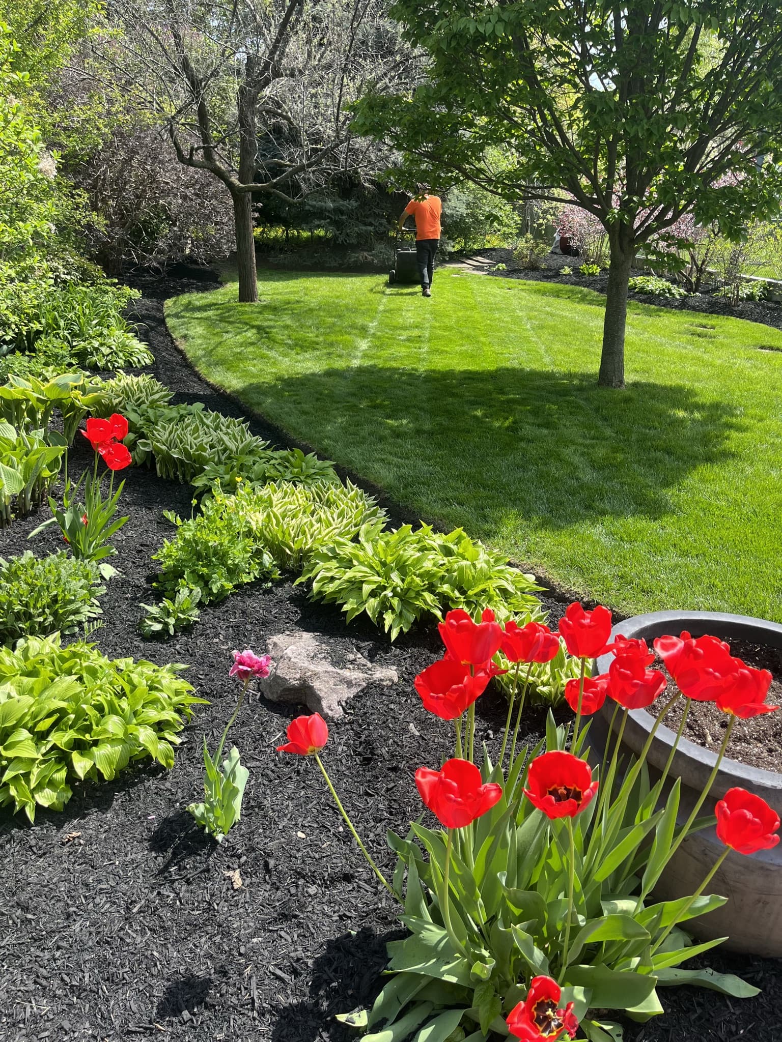 Cleanup & General project 39 in Scarborough — Dawn Till Dusk Landscaping