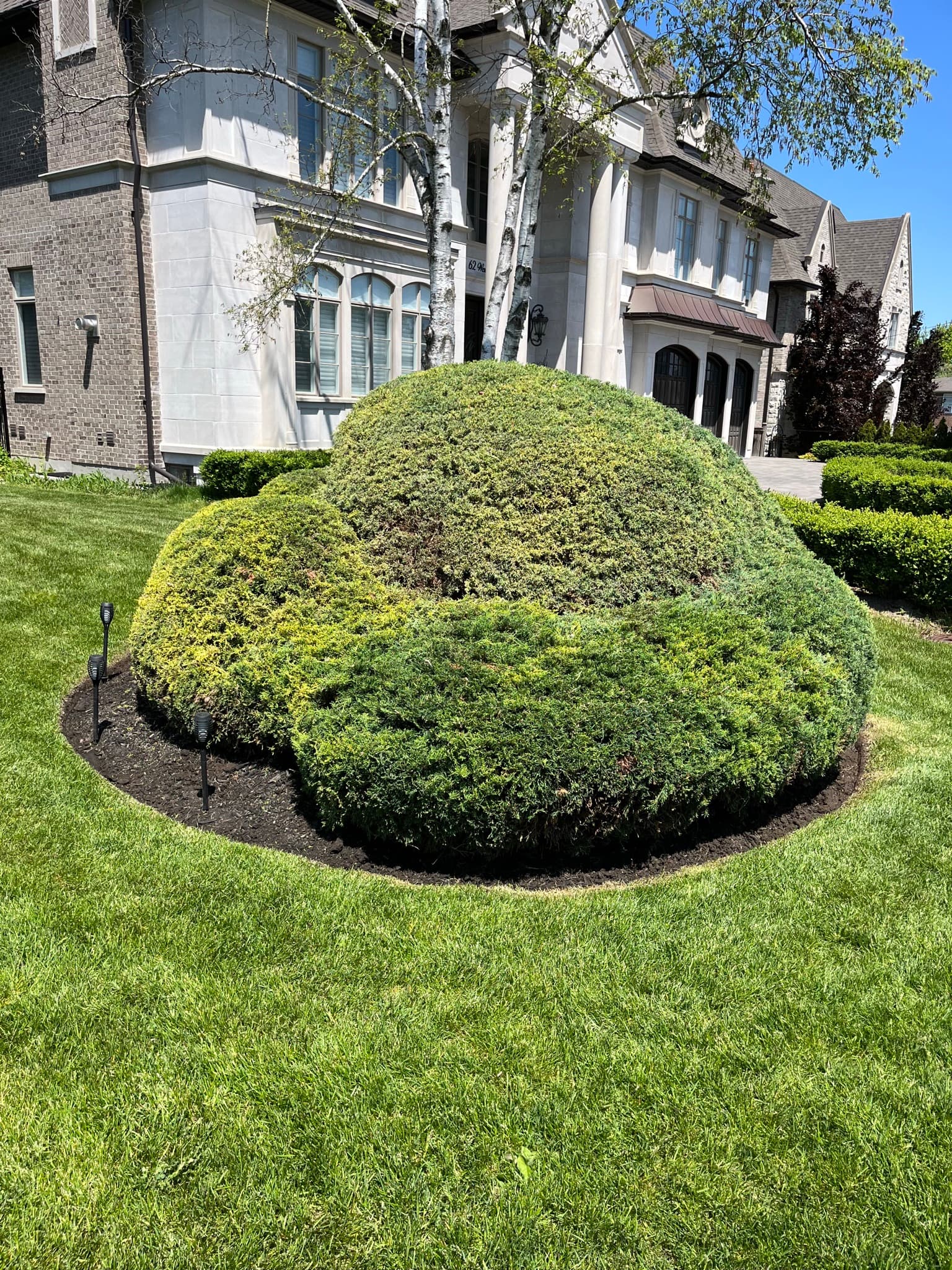 Cleanup & General project 49 in Scarborough — Dawn Till Dusk Landscaping