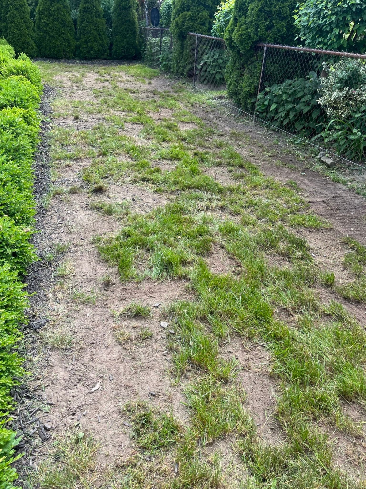 Spring cleanup in Scarborough — debris removal and bed prep