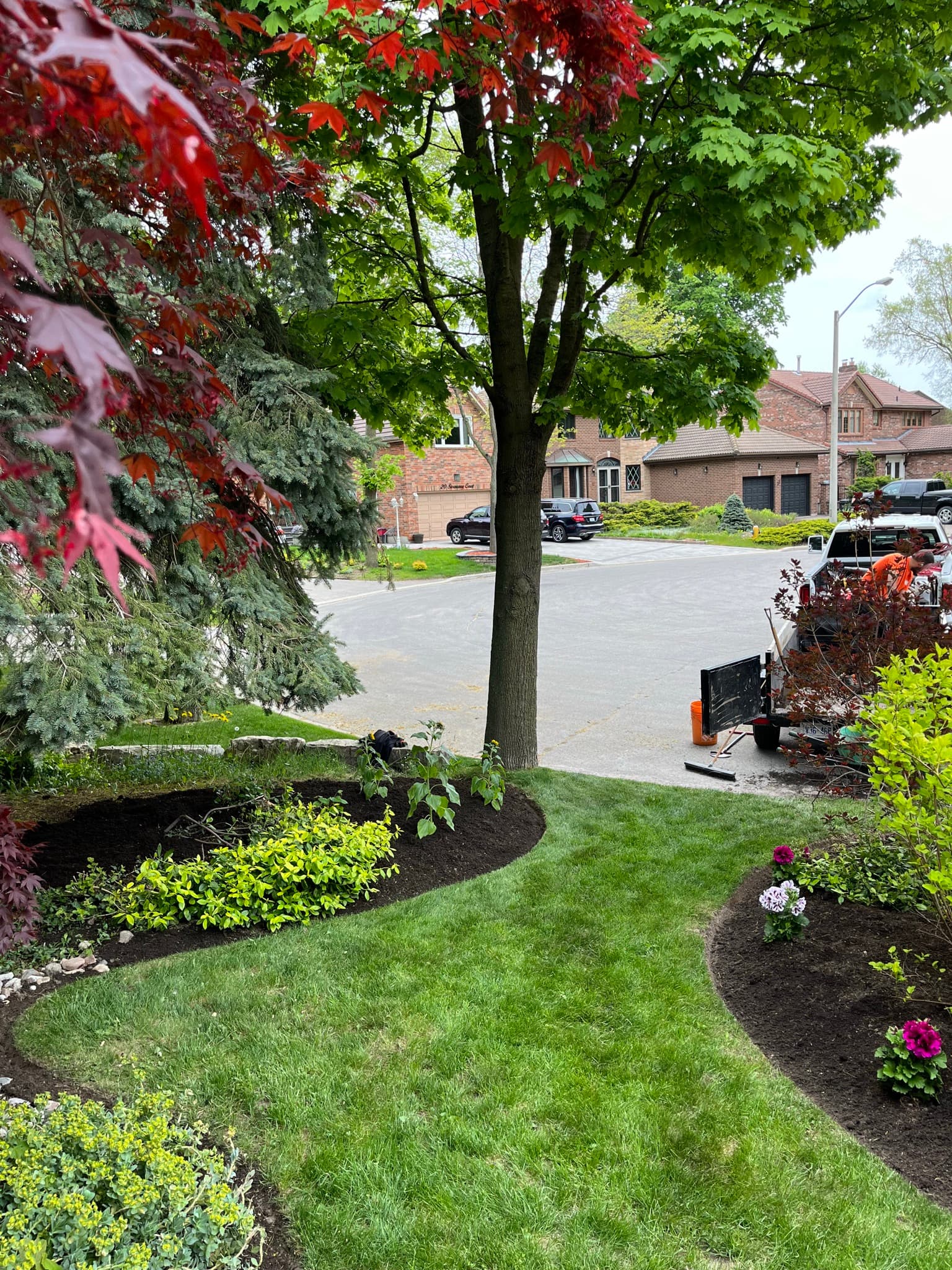 Freshly mowed lawn in Scarborough neighborhood in spring