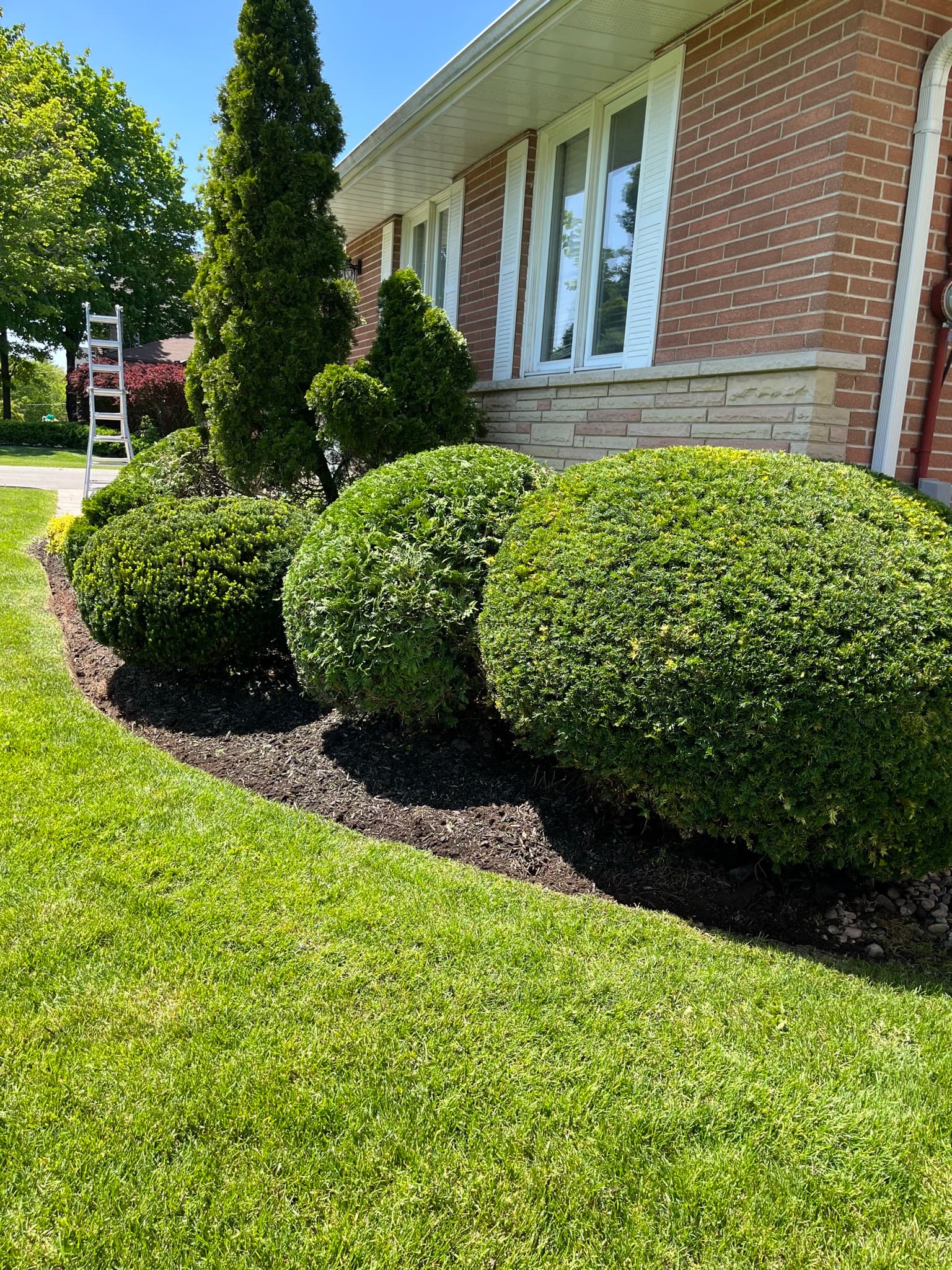Healthy fertilized Scarborough lawn maintained by Dawn Till Dusk Landscaping
