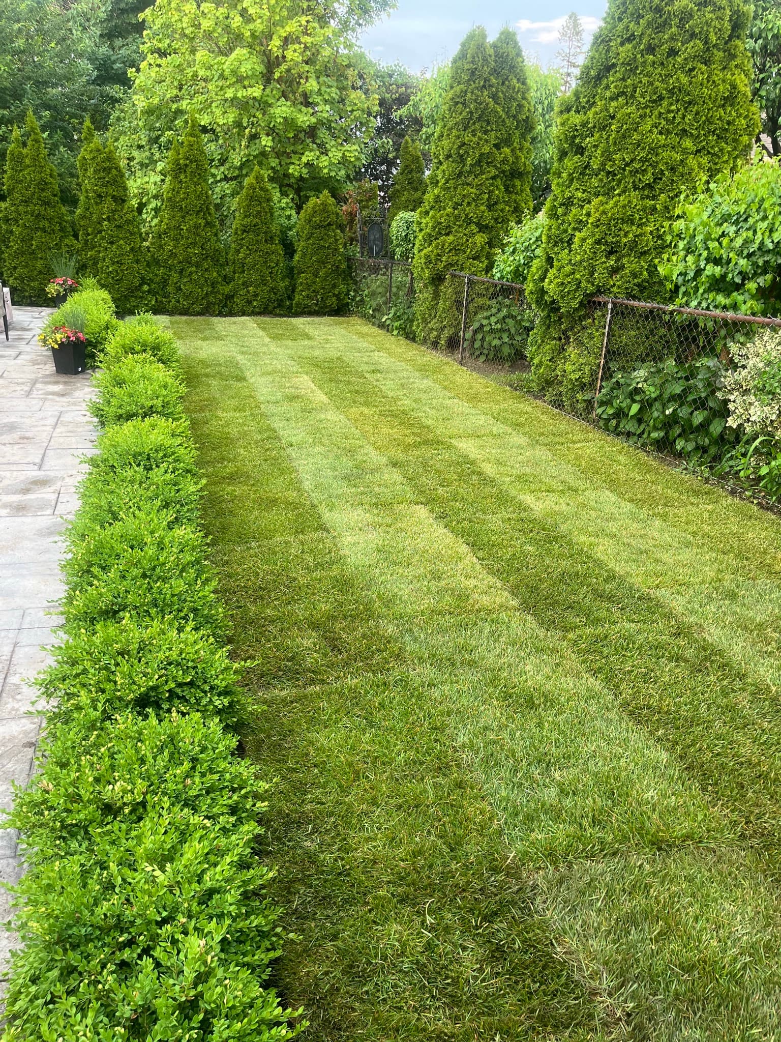 Premium Sod Installation project 1 in Scarborough — Dawn Till Dusk Landscaping